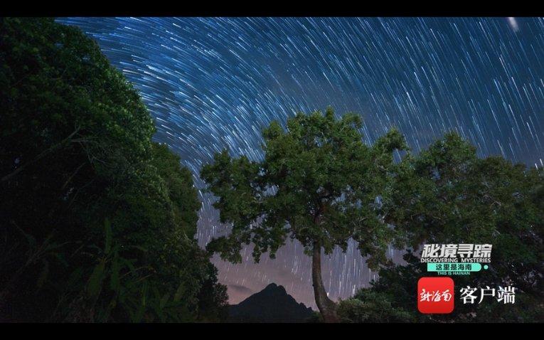 移动的靶心5